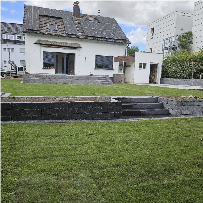 Rollrasen mit Natursteinmauern am Wohnhaus